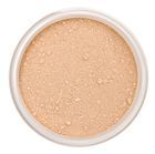 Mineral Foundation Spf 15 In The Buff 10 gr