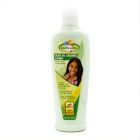 Pretty Grohealthy Olive Oil growth lotion 250 ml